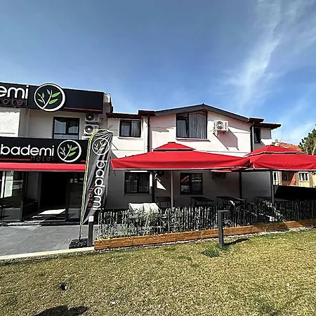 Bademi